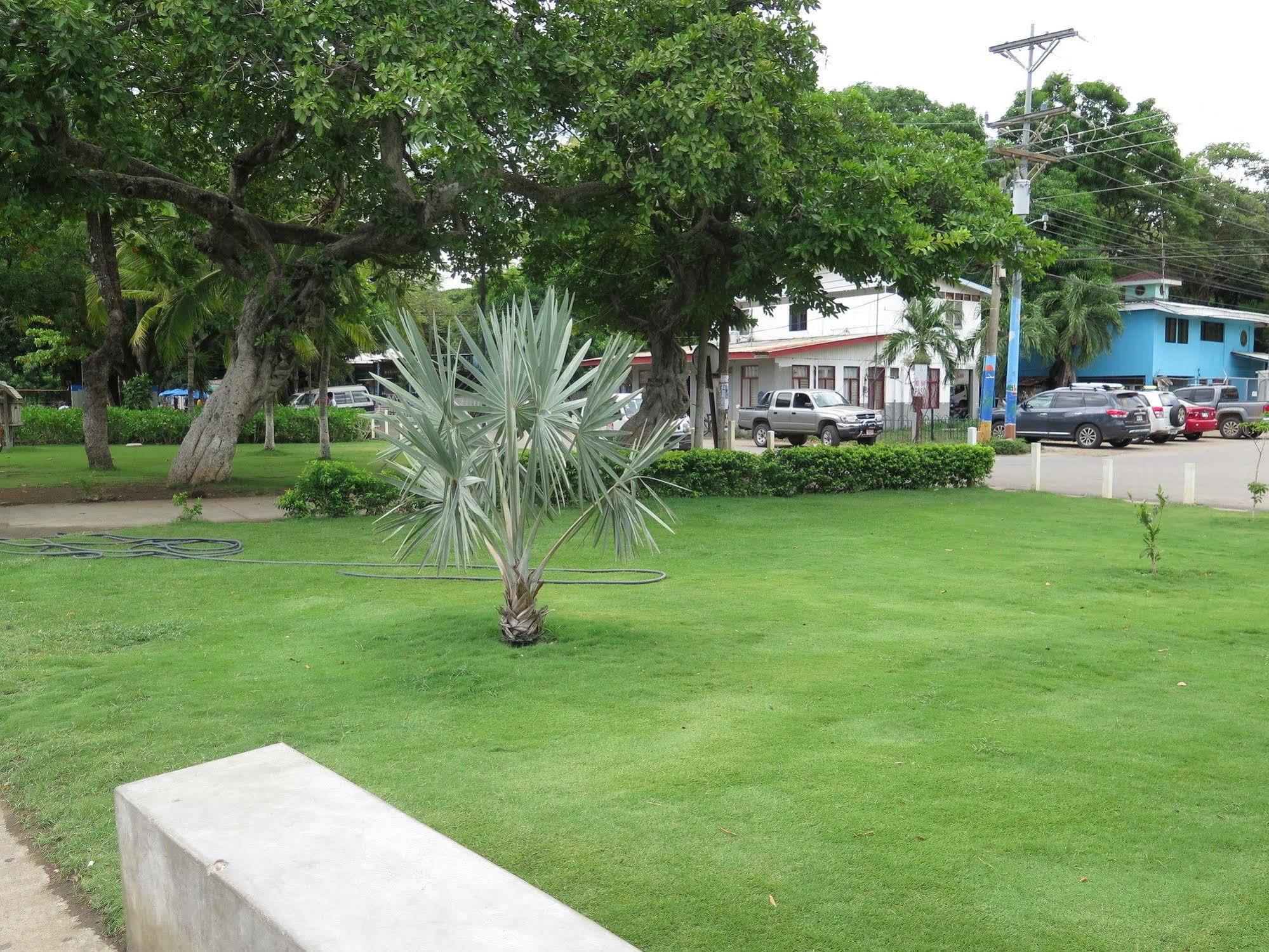 Hotel Savannah Playas del Coco Dış mekan fotoğraf